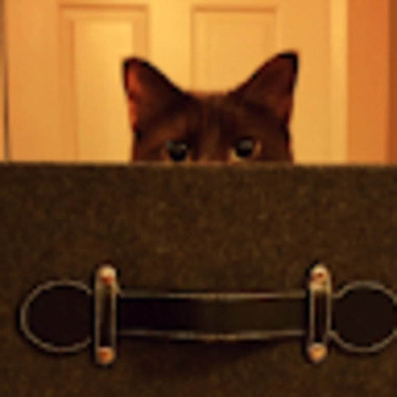 Meet your Posher, Brittany - Picture 1 of 1